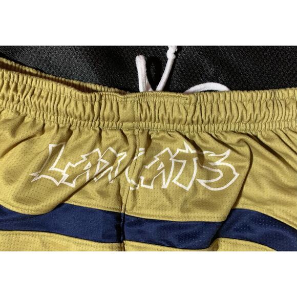 UPJ LAX Mountain Cats PITT-Johnstown PA PRO Basketball Ladies Womens Shorts Sz L - Picture 11 of 14